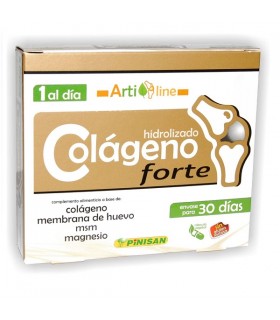 COLAGENO FORTE 30 CAPS. 1 AL DIA PINISAN