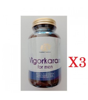 VIGORKARAM 90 CAPS OFERTA 3 BOTES