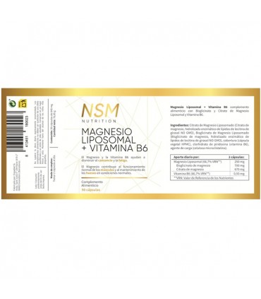 MAGNESIO LIPOSOMAL +B6 90 CAPS NSM NUTRITION
